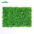 Plastic Künstliche Buchsbaum Green Grass Wall Für Innendekoration